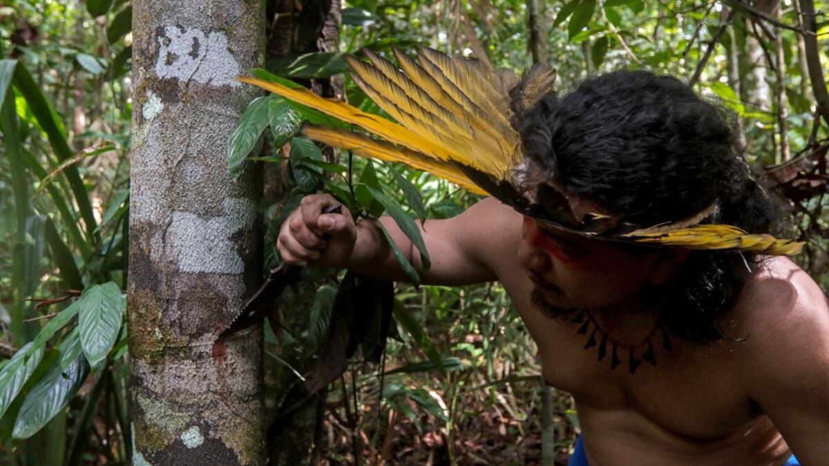 The local and state governments were called to assist to no avail. With the Amazonas state health system saturated, indigenous people turn to their ancestral knowledge about the region's nature to stay healthy and treat possible symptoms of the novel coronavirus. Ricardo OLIVEIRA / AFP