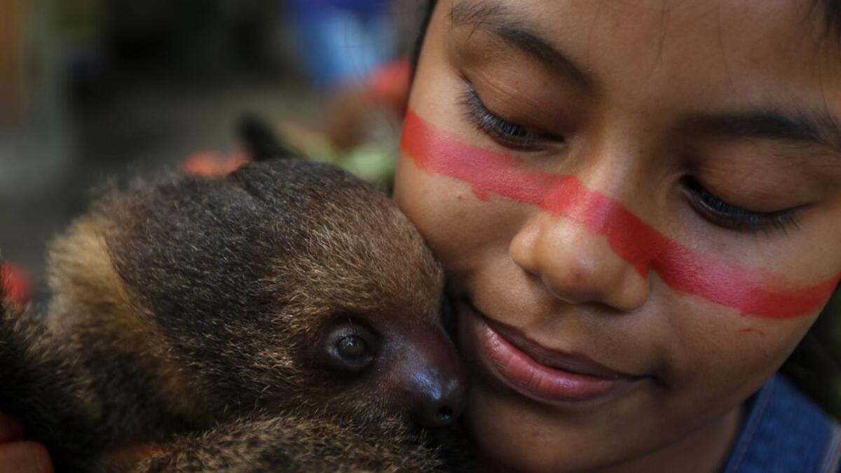 A Satere-Mawe indigenous girl hugs a sloth in the Wakiru community, in Taruma neighbourhood, a rural area west of Manaus, Amazonas State, Brazil, on May 17, 2020, during the COVID-19 coronavirus pandemic. Ricardo OLIVEIRA / AFP