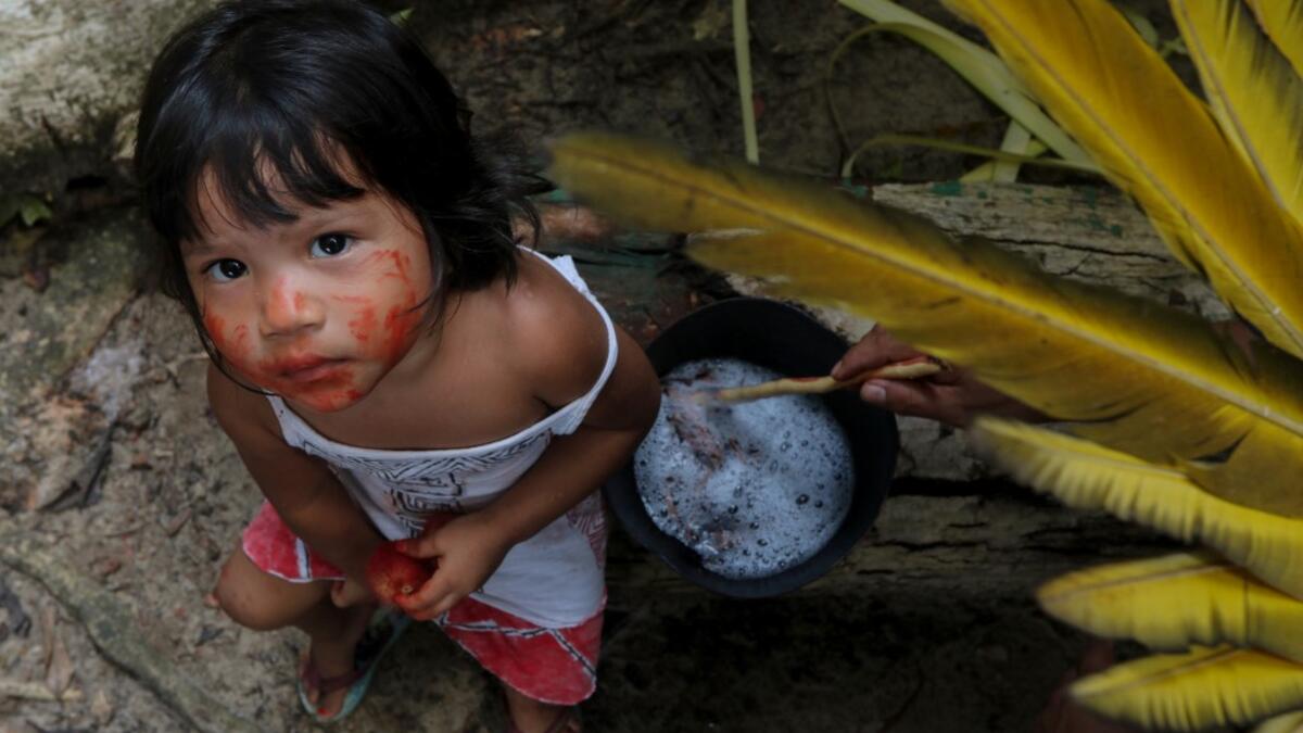 A Satere-Mawe indigenous child sits beside an man preparing medicinal herbs to treat people with symptoms of COVID-19 in the Wakiru community, in Taruma neighbourhood, a rural area west of Manaus, Amazonas State, Brazil, on May 17, 2020, during the novel coronavirus pandemic. Ricardo OLIVEIRA / AFP