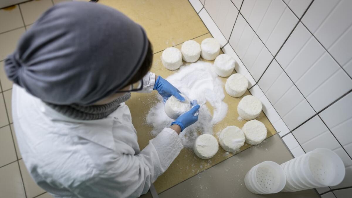 Izabela Ciesielska - covers goat cheese with salt on the "Nad Arem" farm in the Masuria - polish lake region, May 15, 2020. The sheep and cows are in the meadow, the cheese is ripening in a room on the ground floor -- just the kind of scene attracting increasing numbers of Polish cityslickers away from the urban jungle. Wojtek RADWANSKI / AFP