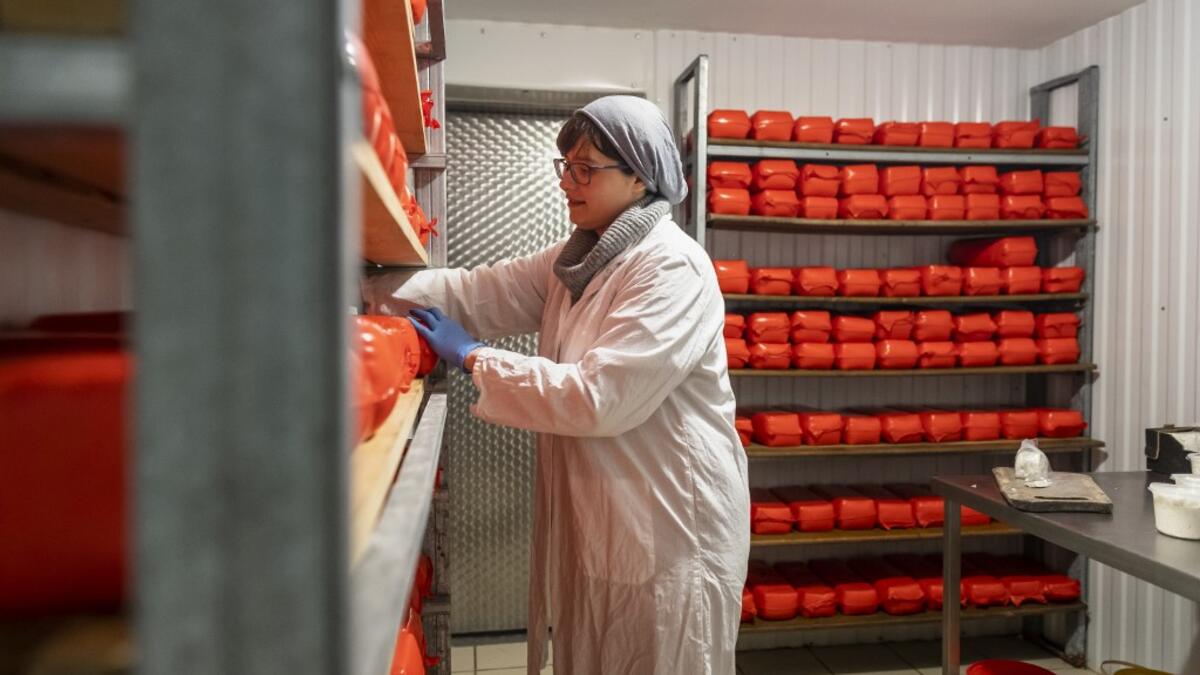 Izabela Ciesielska turns over large blocks of goat cheese in a cold room of the "Nad Arem" farm in the Masuria - polish lake region, May 15, 2020. The sheep and cows are in the meadow, the cheese is ripening in a room on the ground floor -- just the kind of scene attracting increasing numbers of Polish cityslickers away from the urban jungle. Wojtek RADWANSKI / AFP