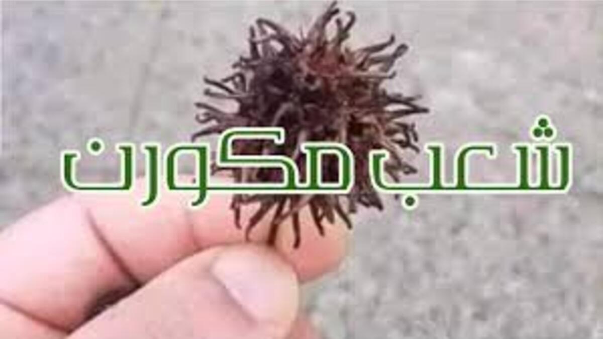 في العالم العربي / مكورن: لوصف الشخص المُصاب بفيروس كورونا.