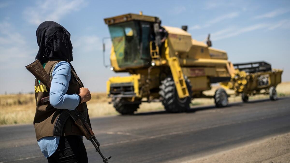 A harvester drives past a Kurdish female volunteer, from the newly formed Community Protection Forces, patrolling a wheat field, against threats by jihadists to burn the crops, during harvest season on June 13, 2020, in the countryside east of Qamishli in Syria's northeastern Hasakah province. Delil SOULEIMAN / AFP