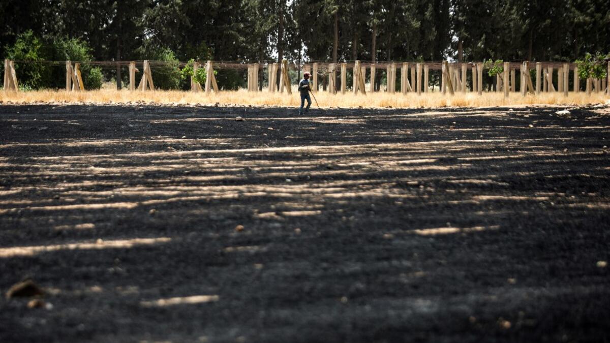 A farmer walks by a wheat field during the harvest season in the countryside of al-Kaswa, south of Syria's capital Damascus on June 18, 2020. Heavy rain and reduced violence provided a relief to Syrian farmers with a good harvest this year, as a tanking economy leaves millions hungry across his war-torn country. Prior to the outbreak of the conflict in 2011, Syria produced more than 4.1 million tonnes of wheat, enough to feed its entire population. But production plunged to record lows during the war, boost