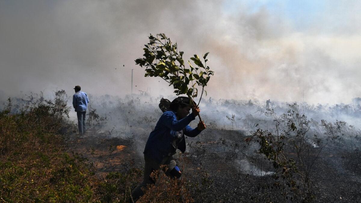 Farm workers try to put out an illegal fire which burned part of the Amazon rainforest reserve and was spreading to their land north of Sinop, in Mato Grosso State, Brazil, on August 10, 2020. Carl DE SOUZA / AFP