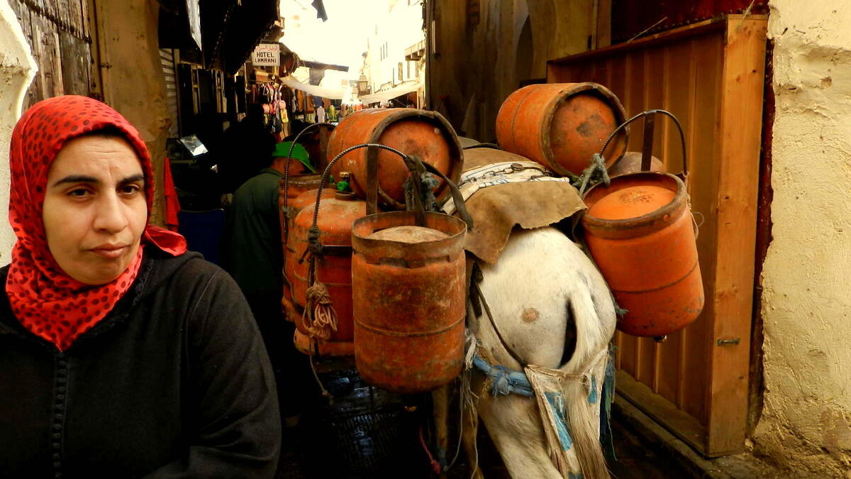 Donkeys in Fez, near Bab Bou Jeloud (Blue Gate), one of the first things you might see. Most of the Fez medina, which contains close to 10,000 streets, is completely car-free /Photo Ewelina Lepionko