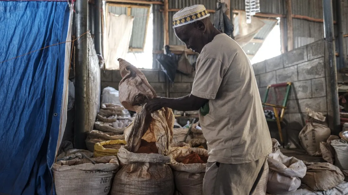 Hundreds have died in nearly three weeks of hostilities that analysts worry could draw in the broader Horn of Africa region, though Abiy has kept a lid on the details, cutting phone and internet connections in Tigray and restricting reporting. EDUARDO SOTERAS / AFP