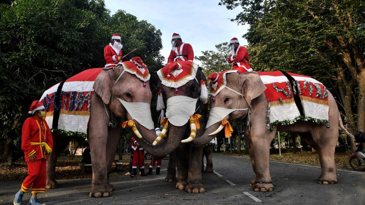 Elephants from the Ayutthaya Elephant Palace, dressed in Santa Claus costumes and wearing face masks, pose for photos ahead of event to hand out face masks to students outside the Jirasat Wittaya School in the central Thai province of Ayutthaya on December 23, 2020. Lillian SUWANRUMPHA / AFP