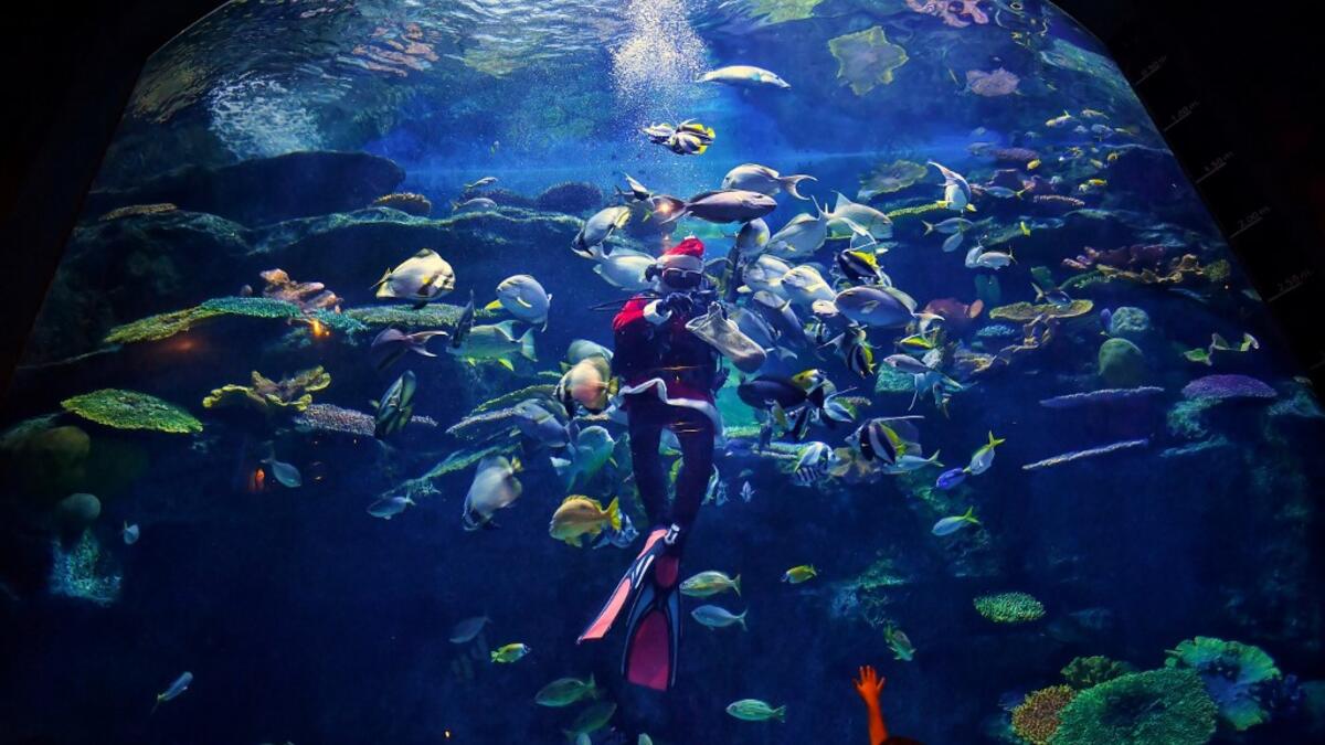 A diver wears a Santa Claus outfit as part of Christmas celebrations while feeding fish at the Sea Life Bangkok Ocean World aquarium in Bangkok in December 24, 2020. Lillian SUWANRUMPHA / AFP