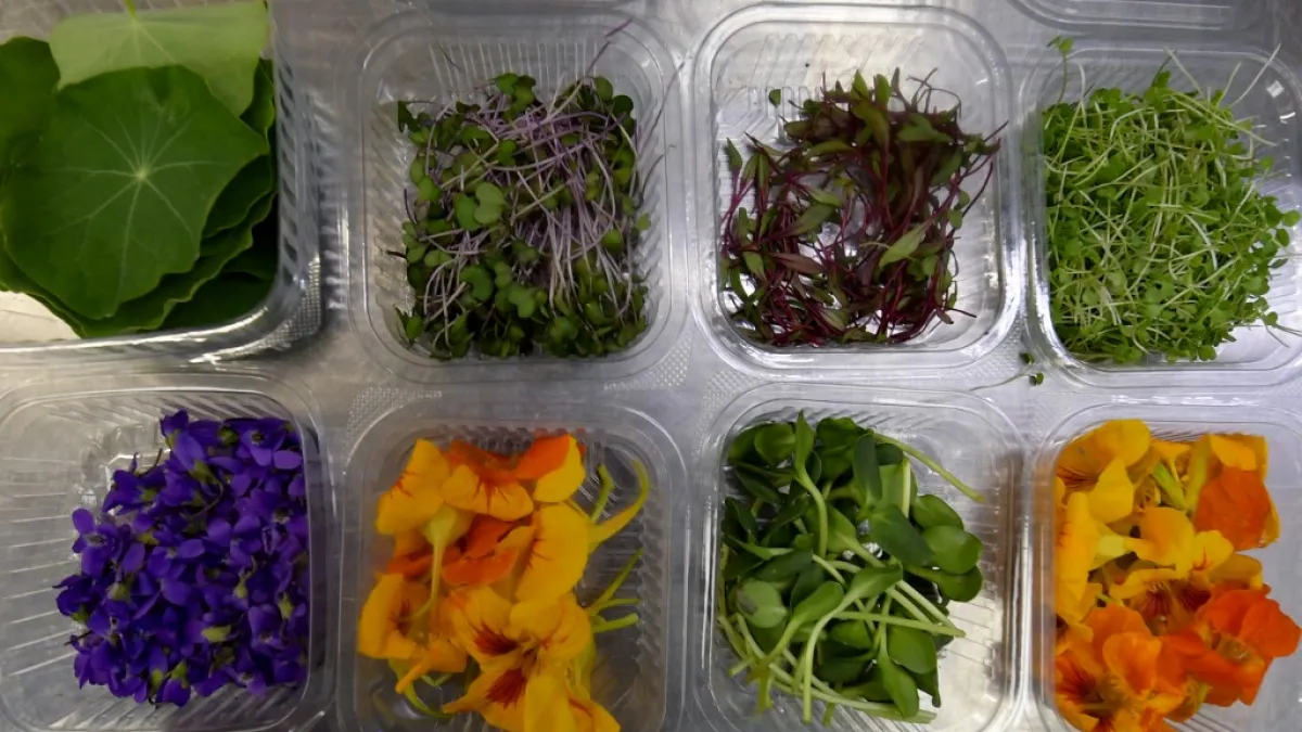 Tunisians already use certain flowers in their traditional cuisine. Some sweets feature dried rose petals, while lavender is an ingredient in a spice mix used in couscous recipes. But fresh flowers, which can be used for dishes from soups to salads as well as teas, are a novelty.  FETHI BELAID / AFP