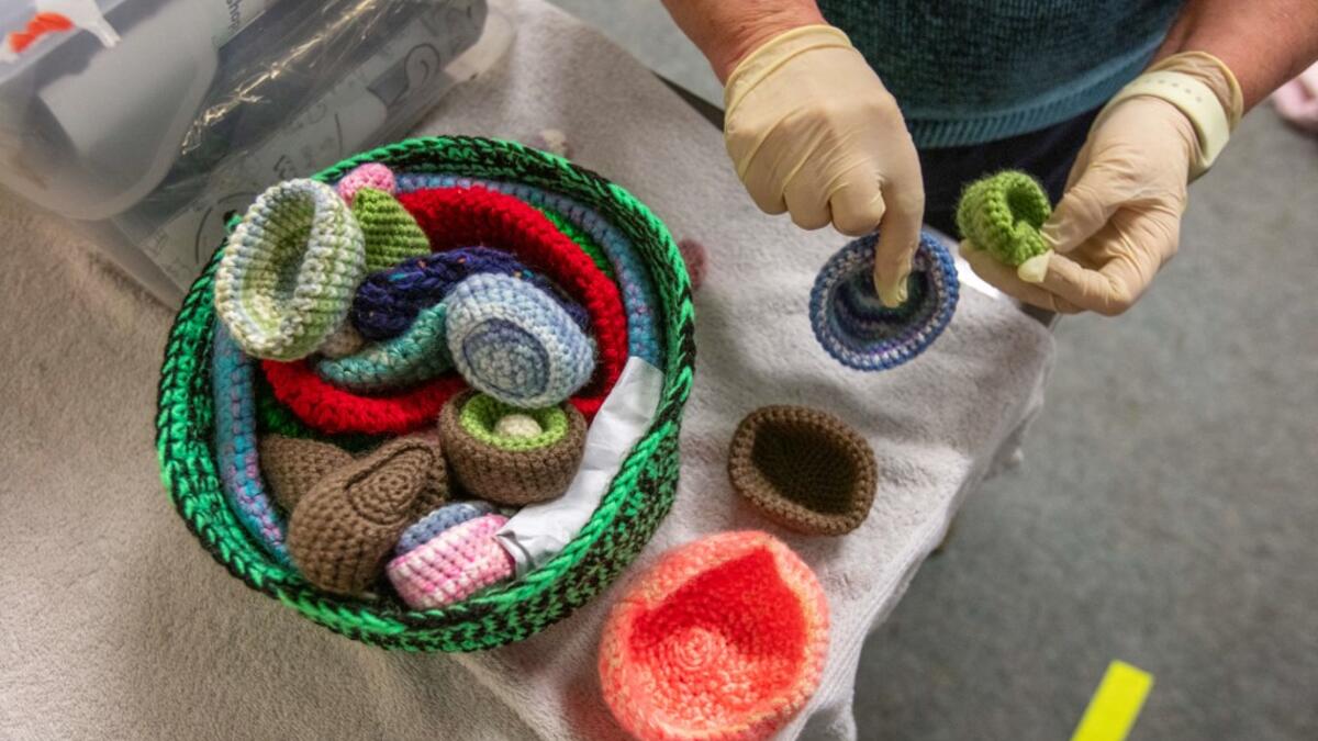 Volunteer at Wildlife Rehabilitation Ireland, Joan Scully sorts through knitted nests for injured birds donated by members of the public, at their new premises situated behind the Tara na Ri Pub, which is shuttered due to the Covid-19 pandemic, at Garlow Cross outside Navan in County Meath, Ireland on February 18, 2021. Since Ireland's first coronavirus lockdown pub the Tara Na Ri has been closed to regulars, but now it hosts a menagerie of new clientèle as the nation's first wildlife hospital. PAUL FAITH /