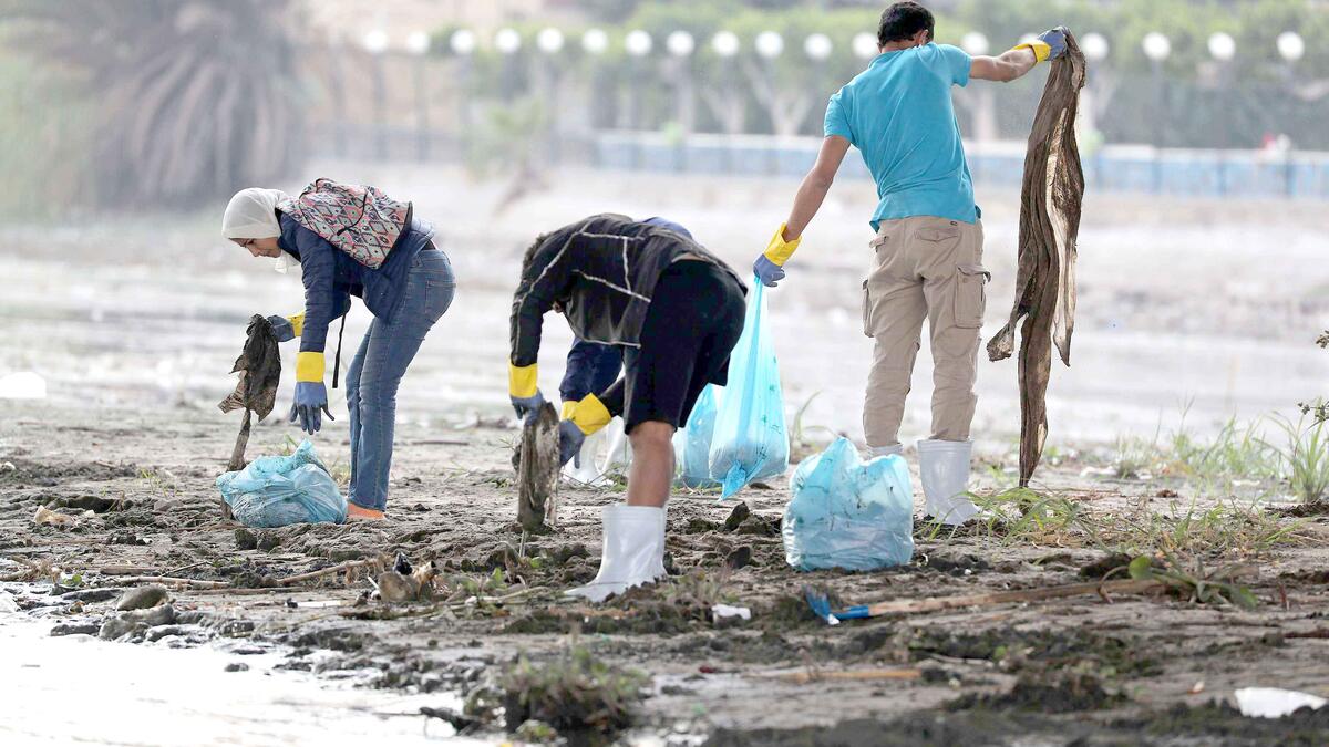 المركز العاشر: مصر - 5.4 مليون مليون طن
