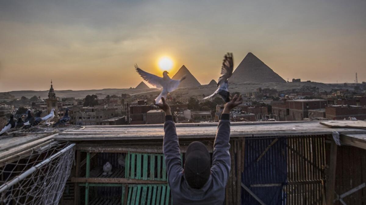 Omar Gamal, a 28-year-old pigeon keeper, releases his pigeon