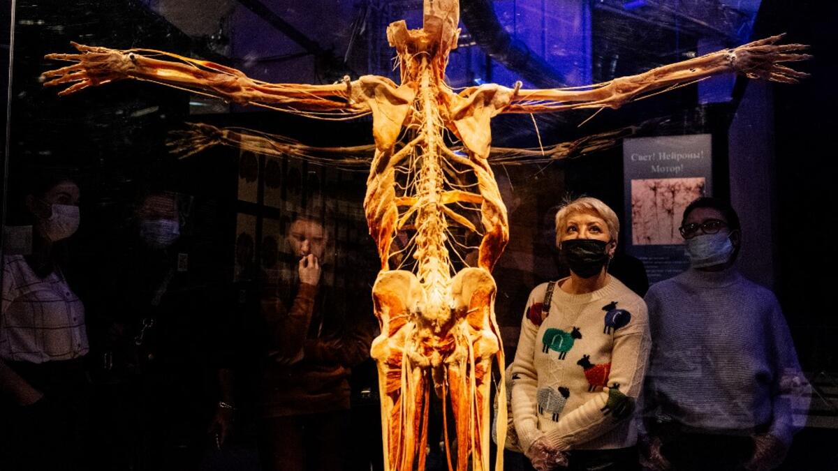 People visit the "Body Worlds", the anatomical art exhibition of plastinated human bodies