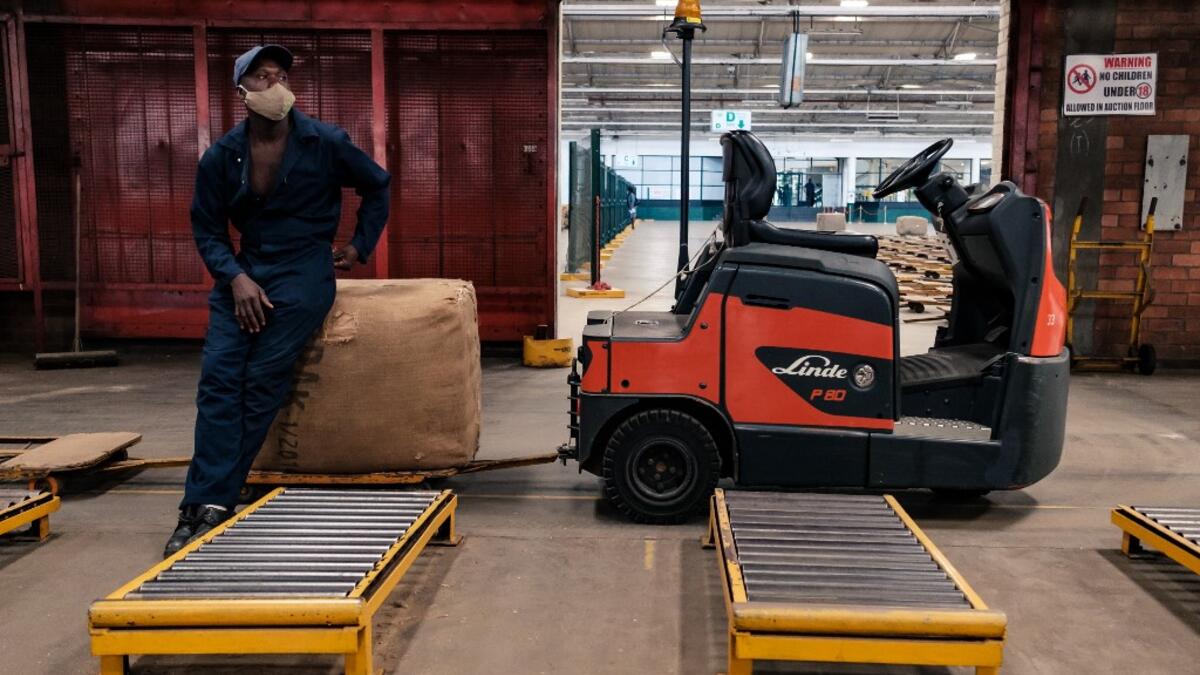 Tobacco season starts in Harare