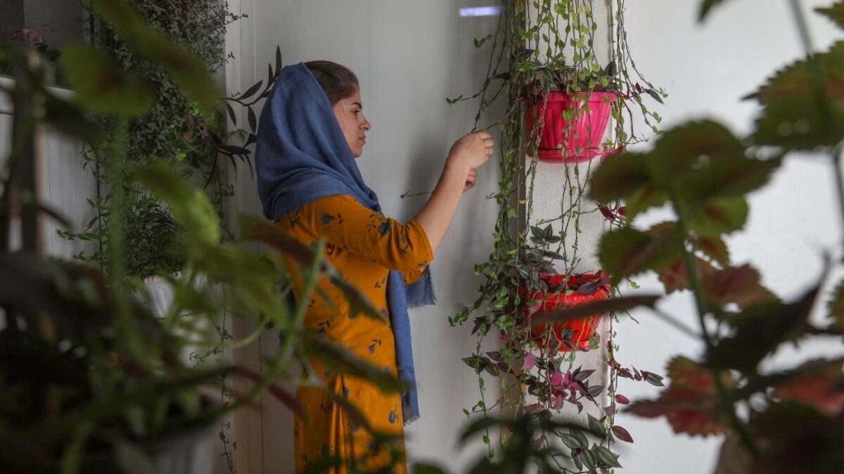 World Refugee Day marked internationally