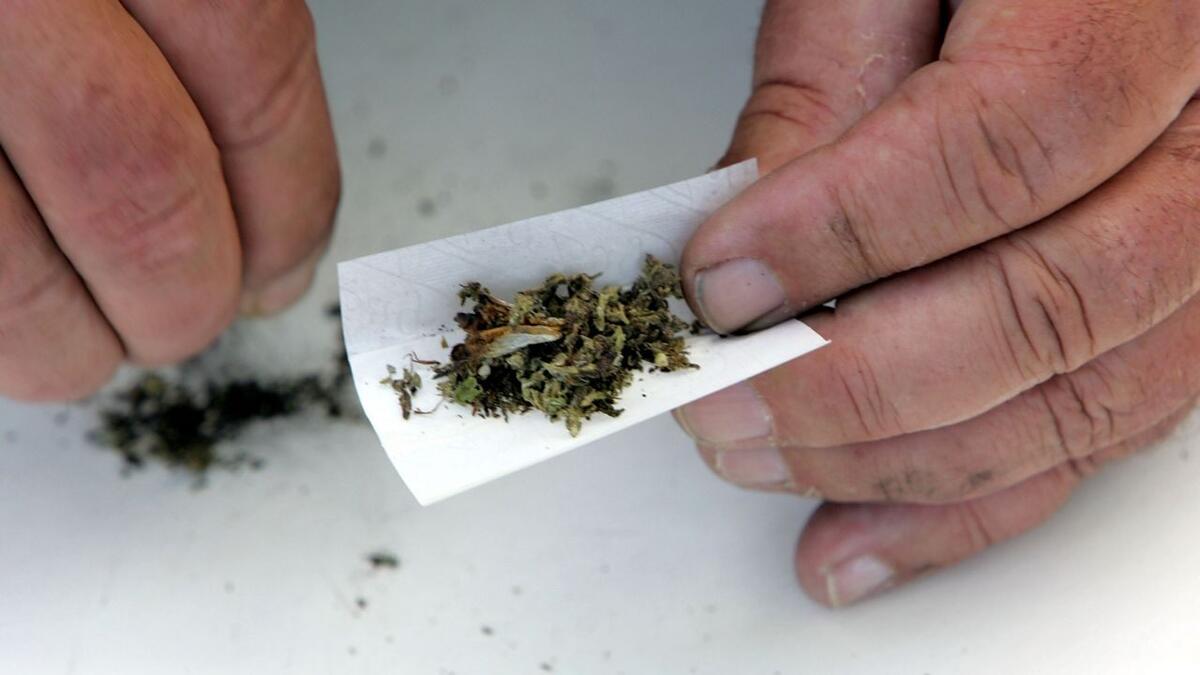 ميشيغان: يقدم مركز طبي يدعى The Greenhouse of Walled Lake للعملاء الذين تطعموا سيجارة ماريغوانا مجانية.