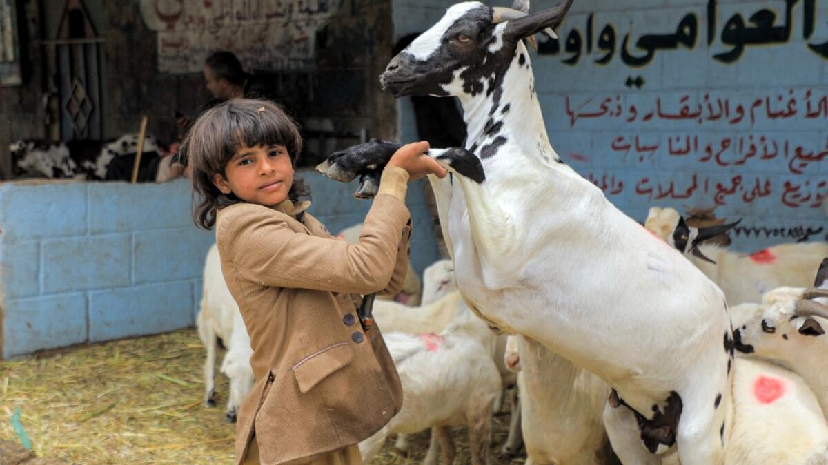 A boy holds the front legs of a goat at a livestock market in Yemen's capital Sanaa on July 14, 2021, as people buy provisions in preparation for the Eid al-Adha holiday celebrations. Known as the "big" festival, Eid Al-Adha is celebrated each year by Muslims sacrificing various animals according to religious traditions, including cows, camels, goats and sheep. MOHAMMED HUWAIS / AFP