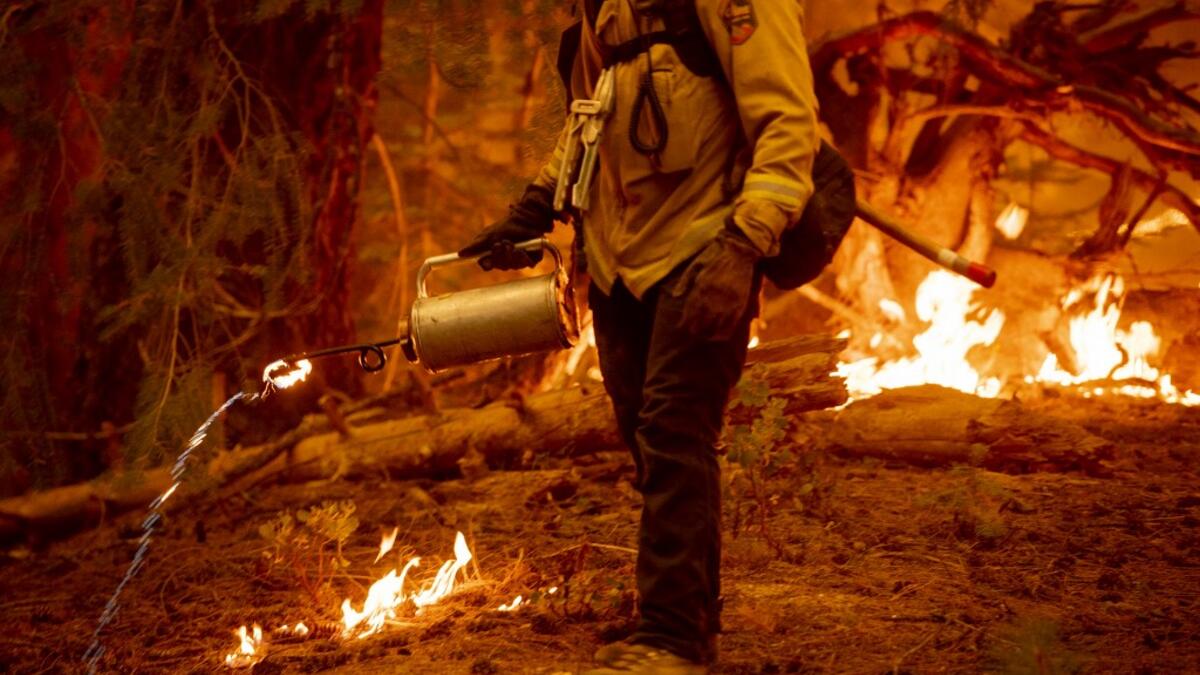 Wildfires erupts in Northern California Forests