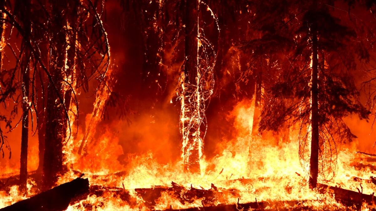 Wildfires erupts in Northern California Forests