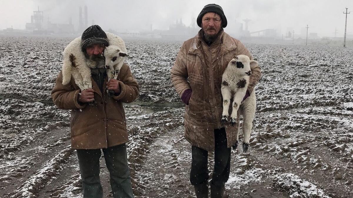 الجائزة الكبرى: صورة بعنوان "رعاة من ترانسيلفانيا"، للمصور الهنغاري إستفان كيريكيس صُورت على iPhone 7.