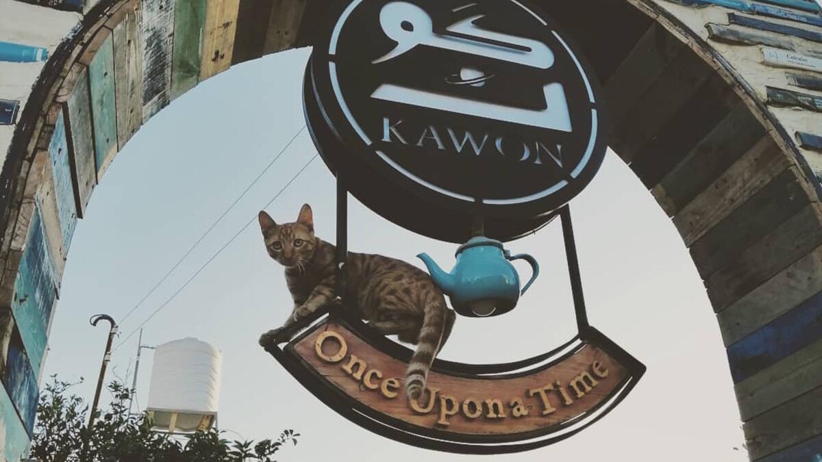 Kawon, a socially active bookstore and a cultural space in Madaba, has been promoting the reading culture since its start as an initiative of selling books on the streets since 2016.