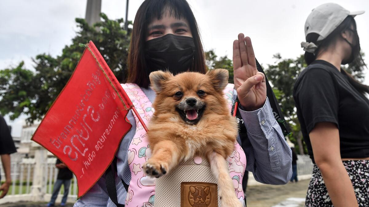 Anti-government Protesters in Thailand