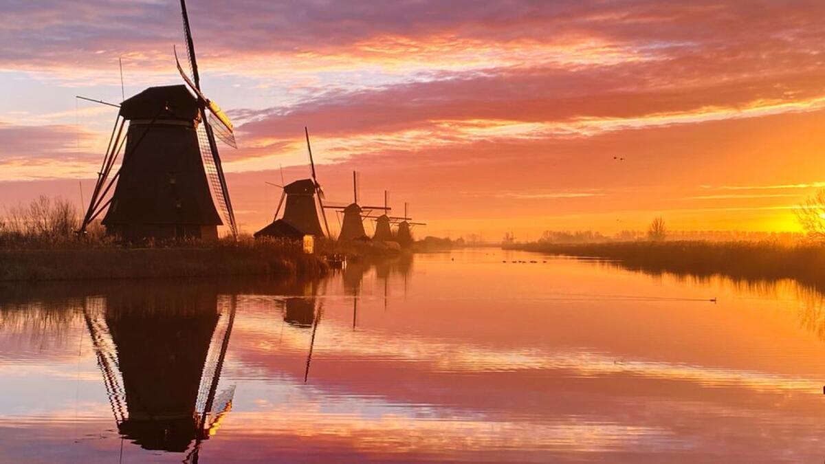 فئة غروب الشمس: صورة بعنوان "صباح هولندي" للمصور  الهولندي "كلير دروبيرت"  صُورت على iPhone 11 Pro Max.