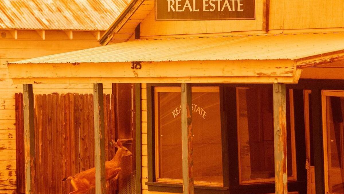 Some photos from the #dixiefire today - now over 180k acres, 17% contained and the largest California fire of the year so far. The fire front is about 30 miles across and continuing to move towards rural communities. The last pic is a homeowner that decided to ignore the mandatory evacuation order.