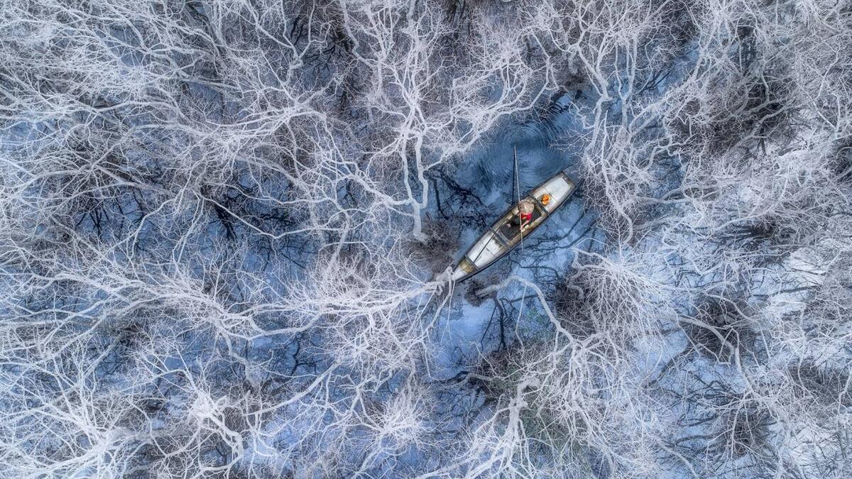 فئة الأشخاص: للمصور الفيتنامي ترونج فام هوي - صياد السمك في غابة مانغروف.