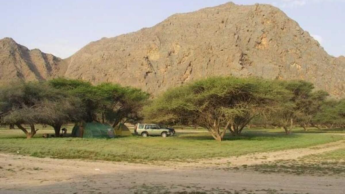 غابة الأكاسيا: إذا كنت تبحث عن مكان للتخييم في دبي وسط سلاسل الجبال، فإن غابات الأكاسيا هي الحل المناسب لك حيث سيوفر لك إطلالة جميلة على جبل حارم، عادة ما تظل هذه الغابة الجميلة هادئة للغاية، خاصة في الليل.