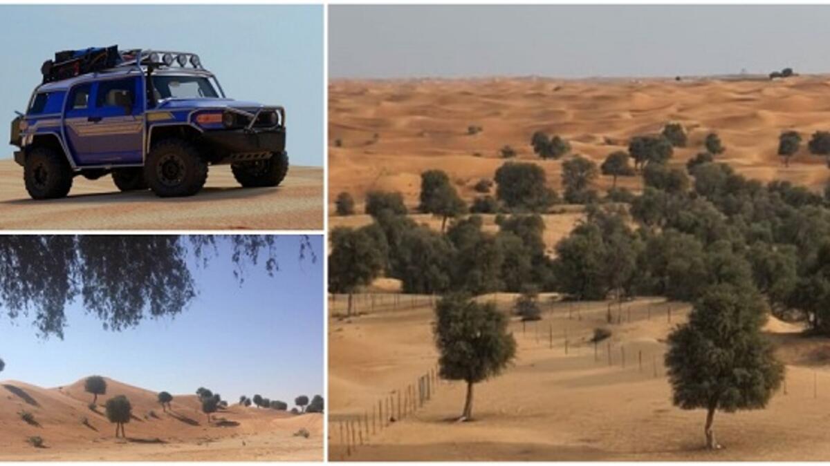 غابة الهير: حيث توفر ملاذًا مريحًا بعيدًا عن صخب المدينة، احزم امتعتك وطعامك وبطانيتك واختر مكانًا رائعًا للنزهة بين الشجرة المظللة، حان الوقت للراحة والاسترخاء والاستمتاع باليوم مع العائلة والأصدقاء.