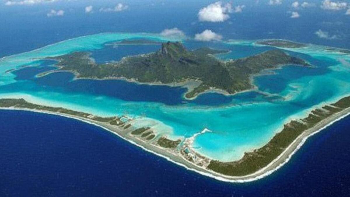 جزر فرسان – جدة: تجربة الغوص في هذه الجزيرة يعد تجربة مثالية حيث آلاف الشعاب المرجانية الصغيرة على عمق 10 أمتار إلى أقصى عمق يصل إلى 500 متر، كما أن هناك جدران من المرجان الأسود وبعض أسماك المهرج، وسمك النهاش، وثعابين موراي، وأسماك القرش، وأسماك القرش ذات الأطراف البيضاء.