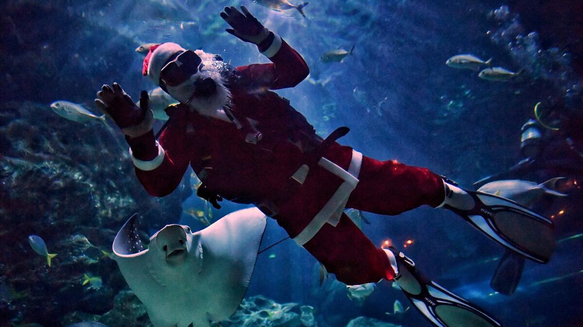 The World Wears Christmas Spirit Despite Omicron Fears