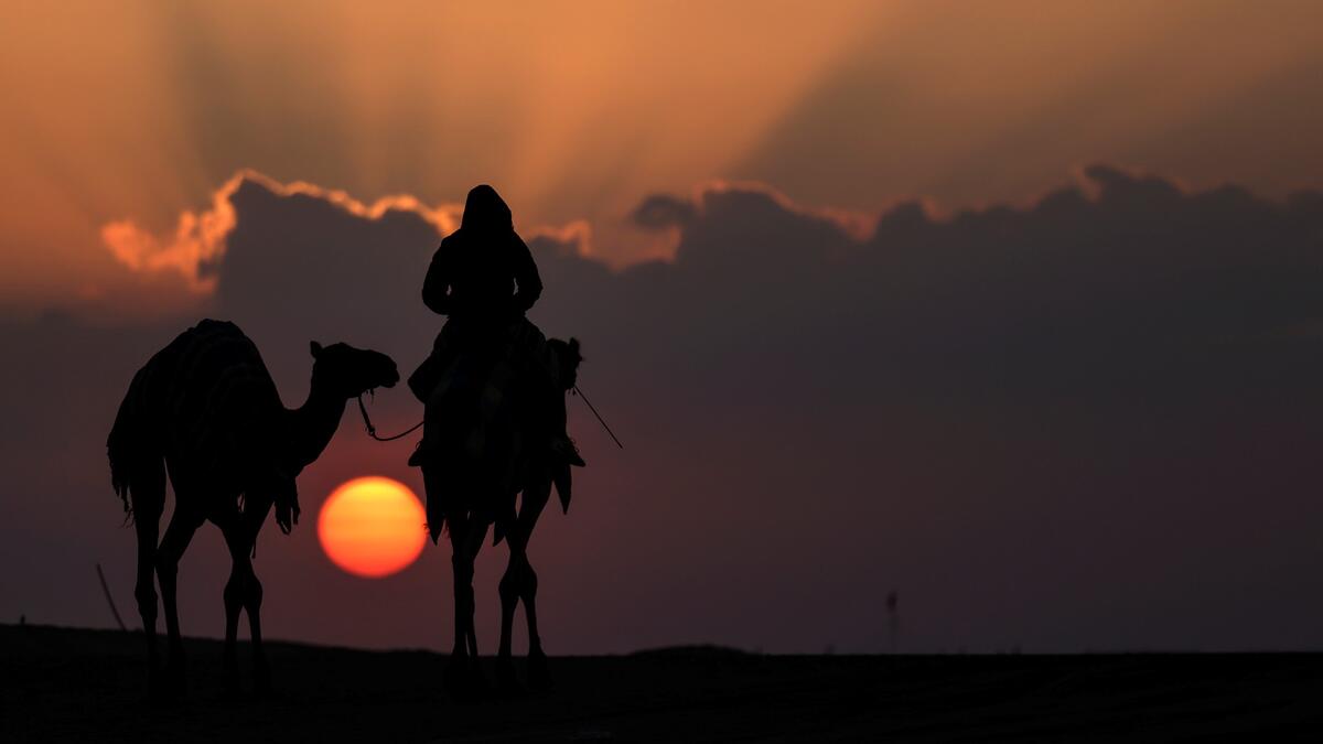 Mazayin Dhafra Camel Festival