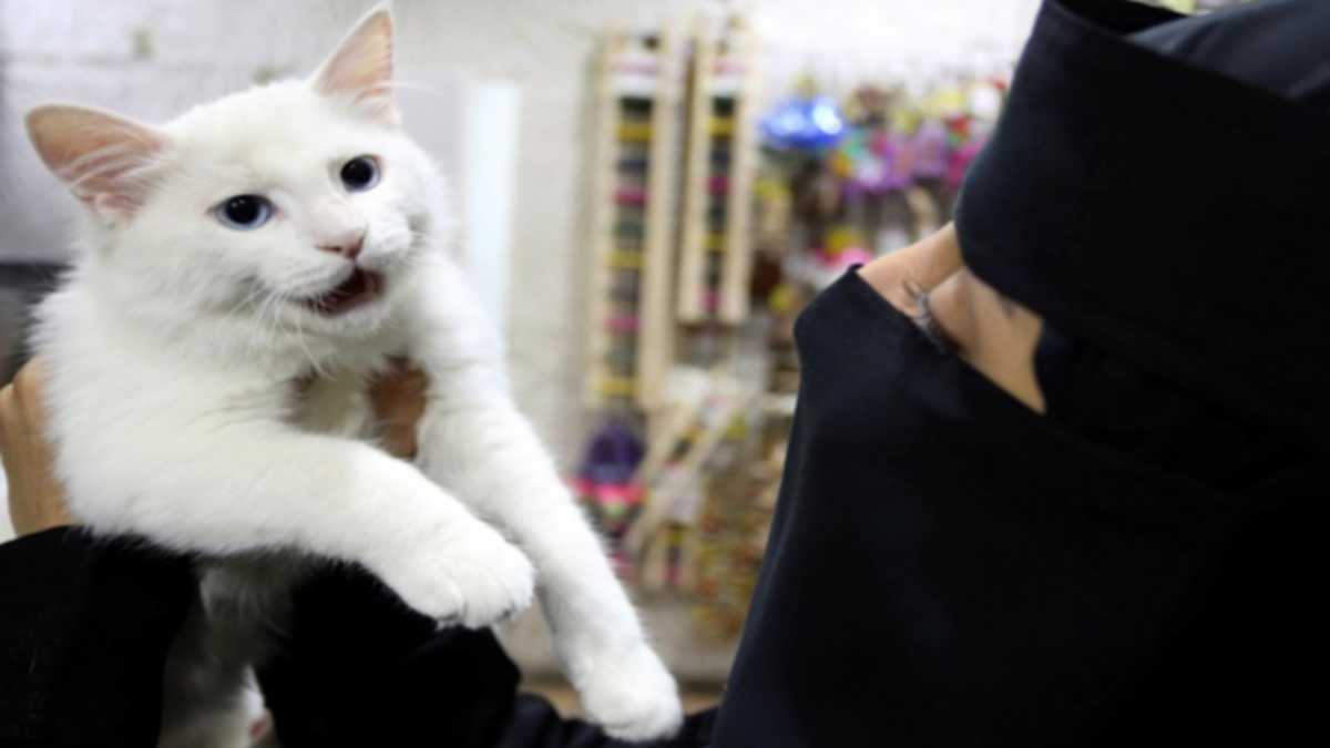 عدم إزالة أي من مخلفات الحيوانات الأليفة من عند مالكيها – 100 ريال سعودي.