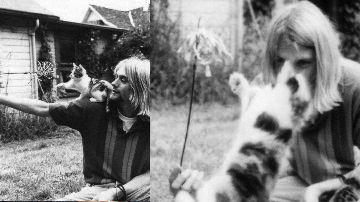 Kurt was an animal lover and considered buying a Zoo