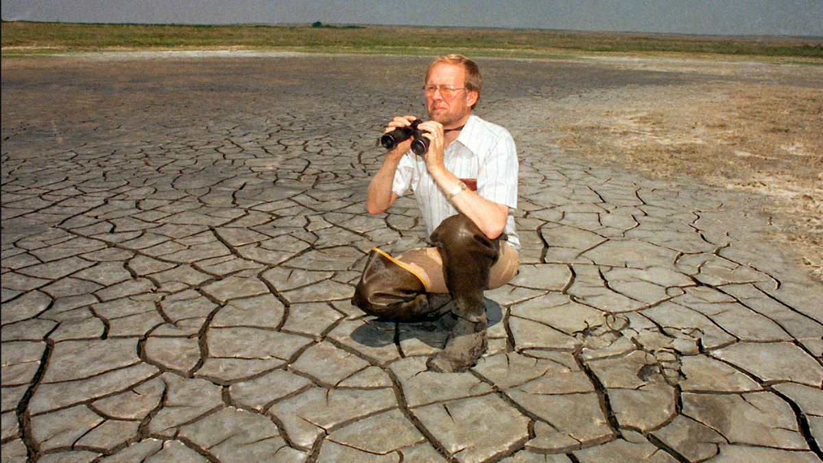 موجة حر أمريكا الشمالية: ضربت أمريكا الشمالية عام 1988 وأودت بحياة 10 آلاف شخص.