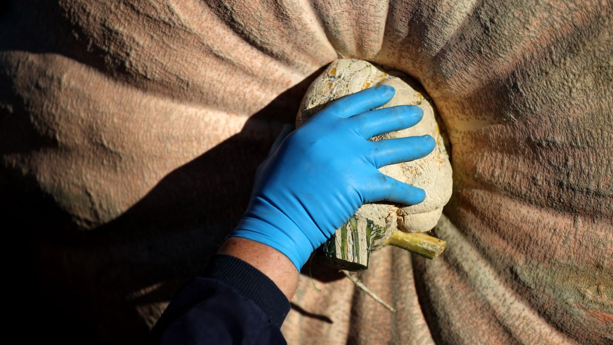 Gienger said: We had really tough weather, but somehow I kept working, I had to fight for this one, and we got it done. (photo by afp).