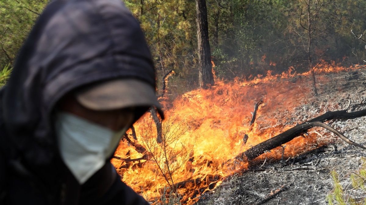 wildfire Algeria