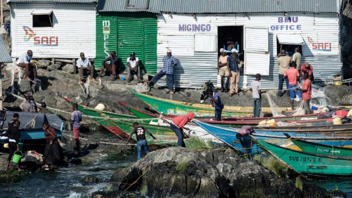 A picture taken on October 5, 2018, shows dried Nile Perches on Migingo island which is densely populated by residents fishing mainly for Nile perch in Lake Victoria on the border of Uganda and Kenya. 
Yasuyoshi CHIBA / AFP