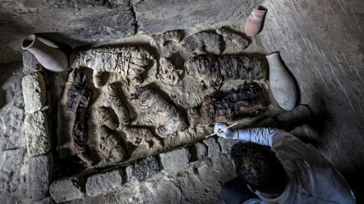 An Egyptian archaeologist cleans mummified cats. (KHALED DESOUKI / AFP)