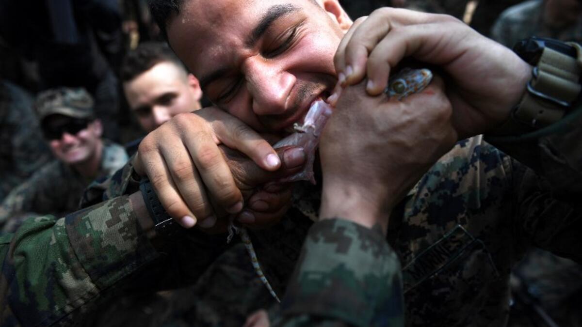 A US Marine eats a gecko during a jungle survival training with Thai soldiers in the joint 'Cobra Gold' military exercise in Chantaburi province
Lillian SUWANRUMPHA / AFP