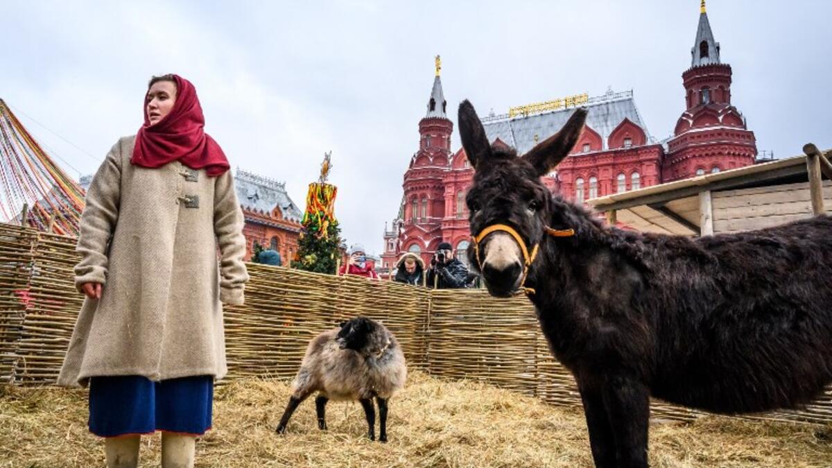 A woman dressed in a traditional costume cares for farm animals in an enclosure set up for the Shrovetide spring festival outside the Kremlin in Moscow on March 01, 2019. Mladen ANTONOV / AFP