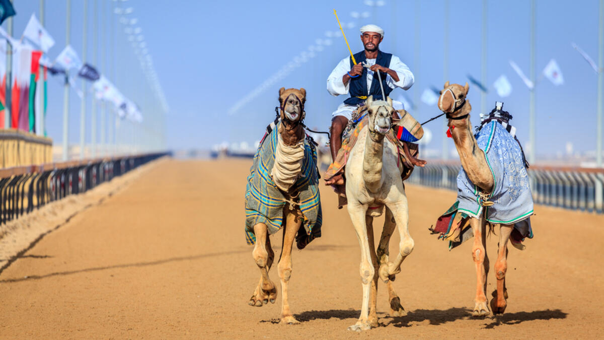 Practicing for camel racing at the Dubai Camel Racing Club (Shutterstock/File Photo)