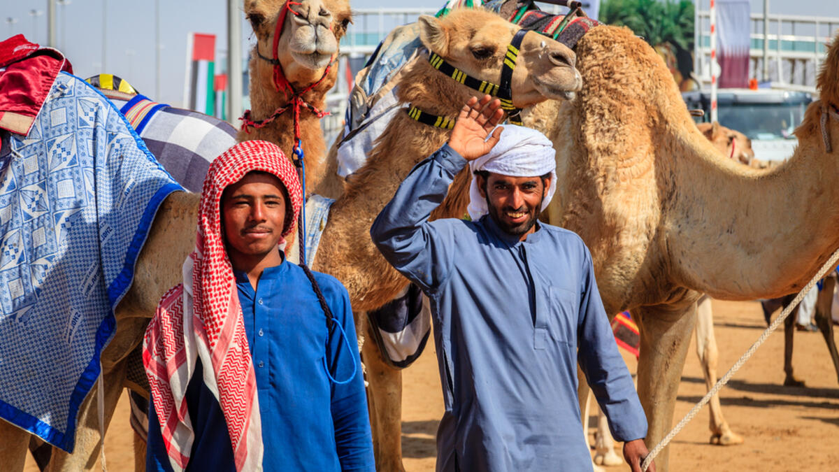 With their handlers at the Dubai Camel Racing Club (Shutterstock/File Photo)