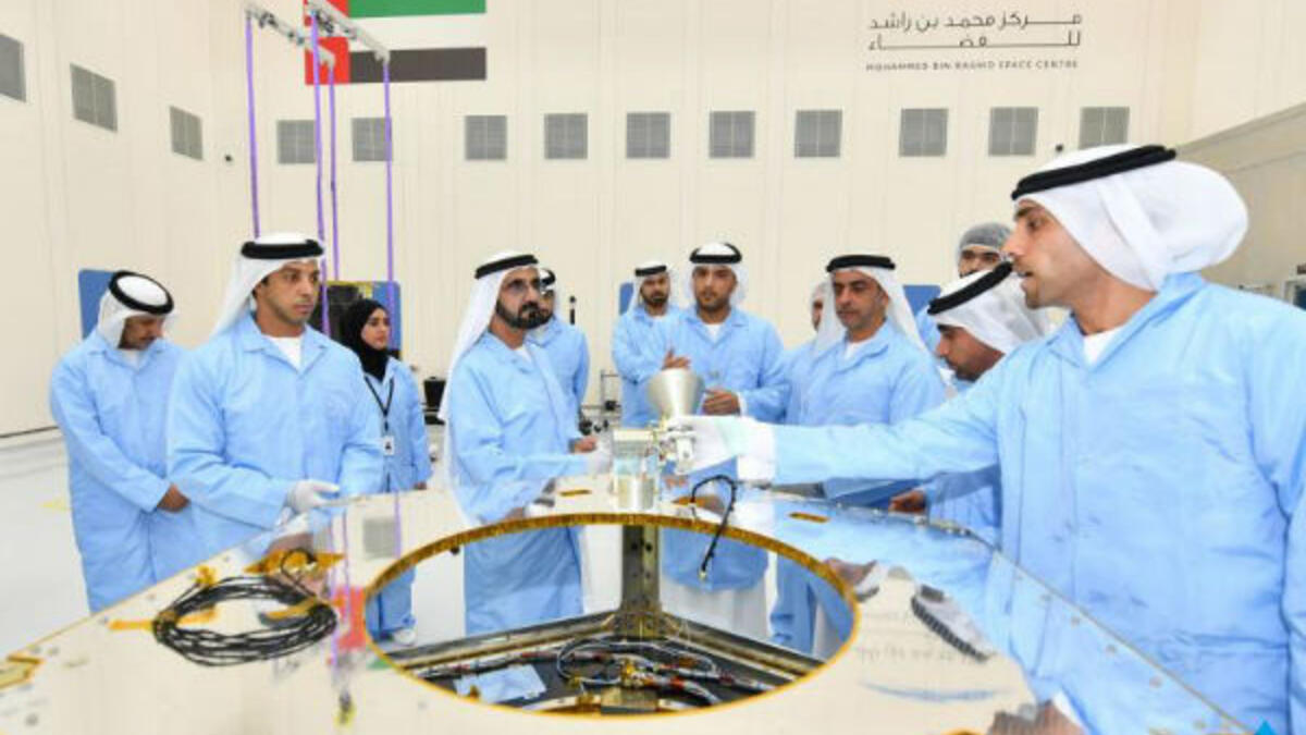 ويعمل النيادي مهندس اتصالات وإلكترونيات وباحثًا في أمن المعلومات، ولديه خبرة في العمل لدى القوات المسلحة الإماراتية في هندسة أمن الشبكات منذ 1999 إلى اليوم.