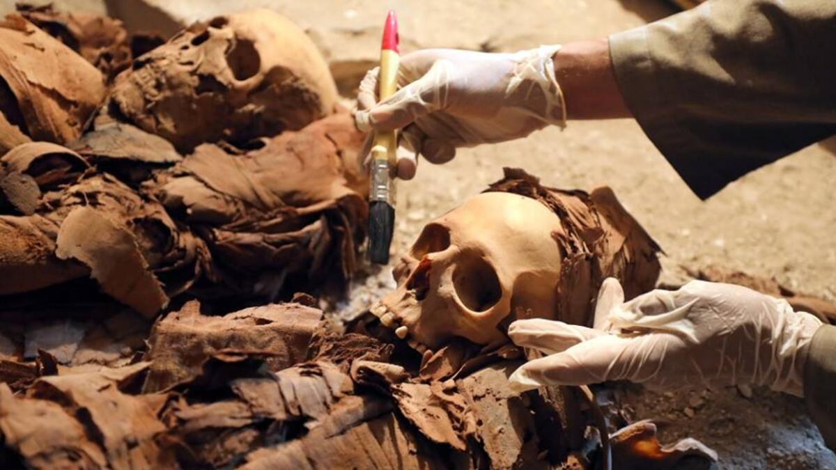 عُثر داخل المقبرة المكتشفة على تماثيل كاملة لصاحب المقبرة وزوجته، ومجموعة من الأواني الفخارية في حالة جيدة، والعشرات من التماثيل الجنائزية "الأوشابتي"، وبعض الممياوات والتوابيت الخشبية التي مازالت تحتفظ بألوانها المميزة منذ ما يربو على ألفي عام.