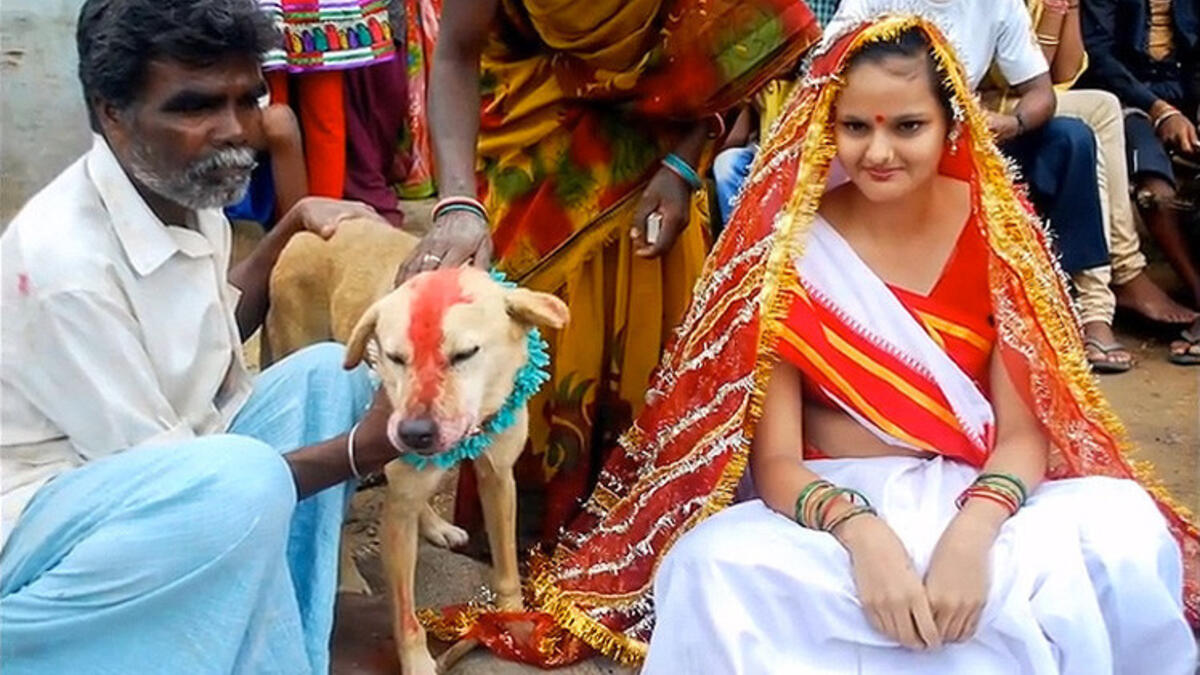 شابة هندية تزوجت من كلب في حفل زفاف رسمي لحماية قريتها من الشرور