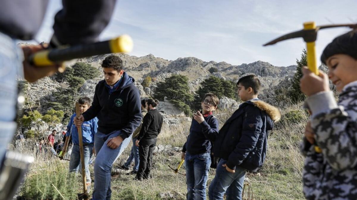 An activist from Lebanese NGO Jouzour Loubnan ("Roots of Lebanon") holds in his hand young a cedar to be planted on the slopes of the Jaj Cedar Reserve Forest in the Lebanon mountains.
JOSEPH EID / AFP